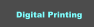 Digital Printing Digital Printing